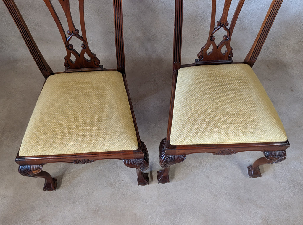 vintage Set Of 6 Mahogany Chippendale Style Dining Chairs With Ball & Claw Feet