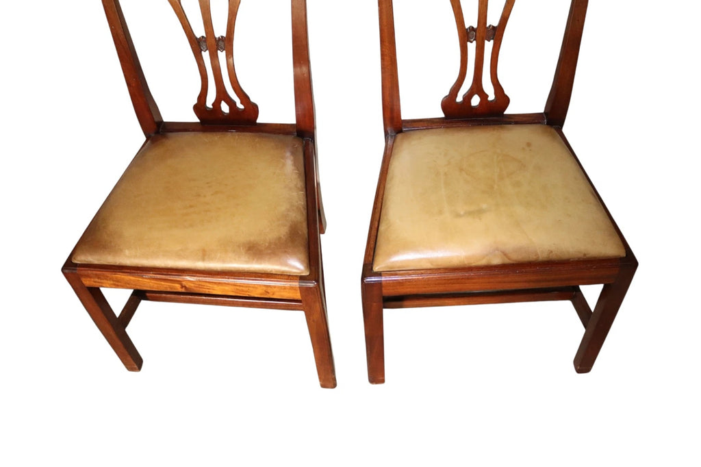 Set of 6 Chippendale Style Mahogany Leather Seat Dining Chairs