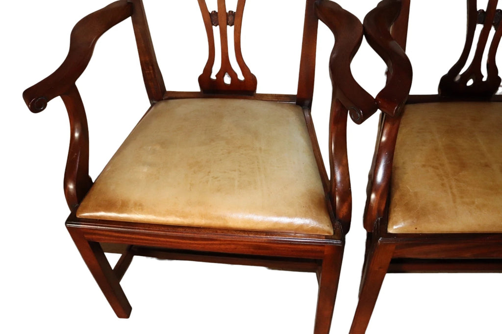 Set of 6 Chippendale Style Mahogany Leather Seat Dining Chairs